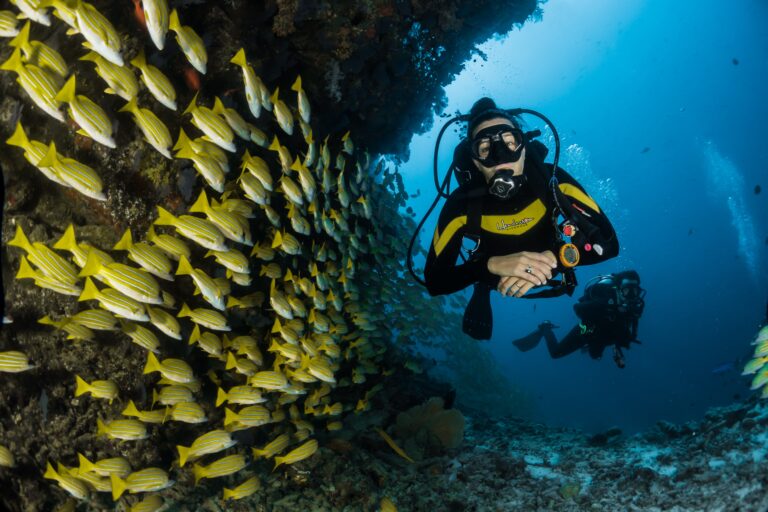 Dive into Adventure: Your Ultimate Guide on How to Get Scuba Certified (Plus FAQ)